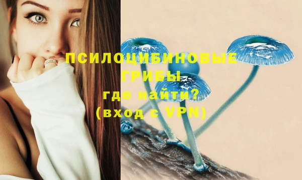 амф Медногорск