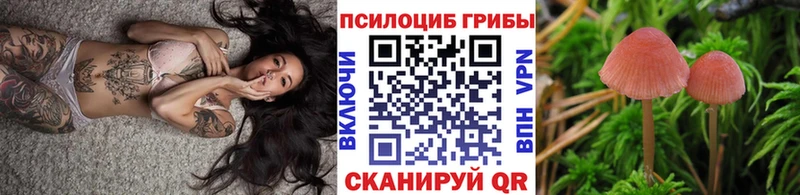наркота  Юрюзань  Псилоцибиновые грибы мухоморы 
